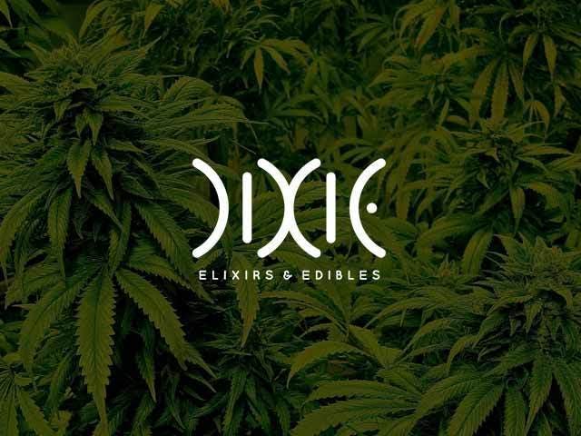 marijuana-dispensaries-roots-rx-in-edwards-dixie-synergy-balm