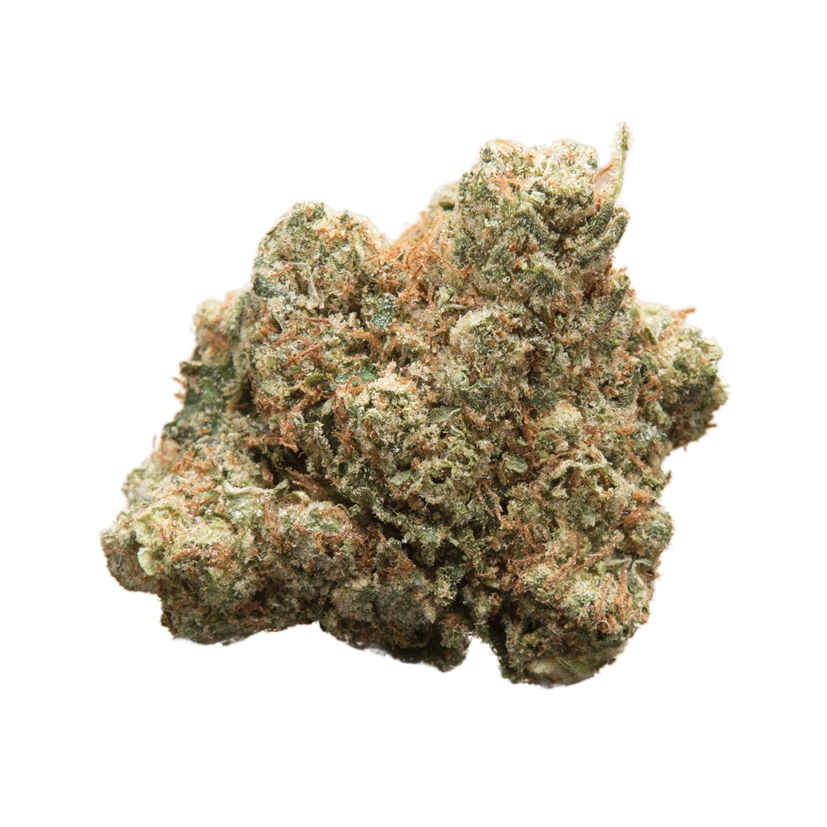 marijuana-dispensaries-hcma-nc-co-op-2c-inc-in-sun-valley-dizzy-og
