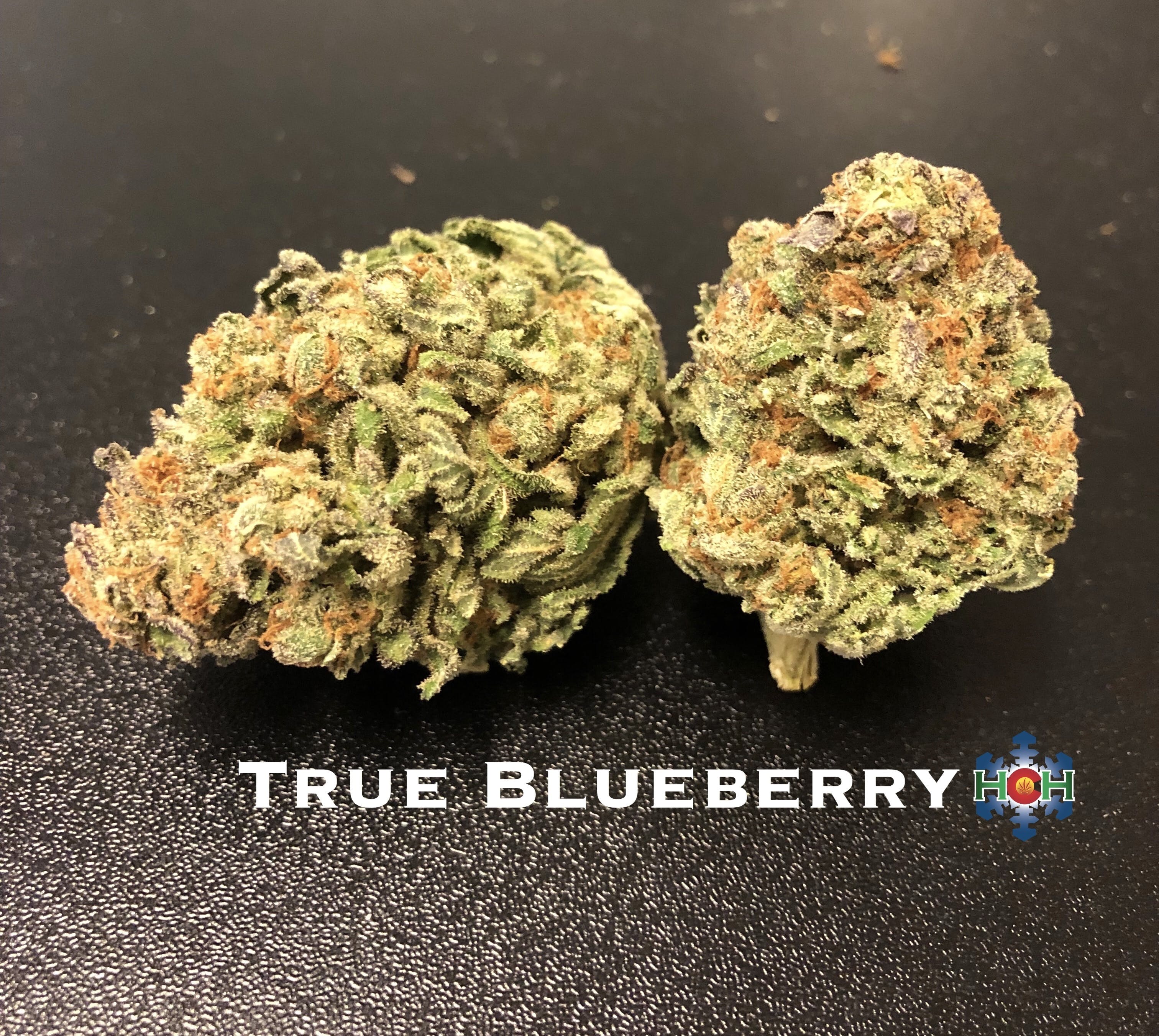 marijuana-dispensaries-1330-w-garden-of-the-gods-rd-colorado-springs-dj-short-true-blueberry