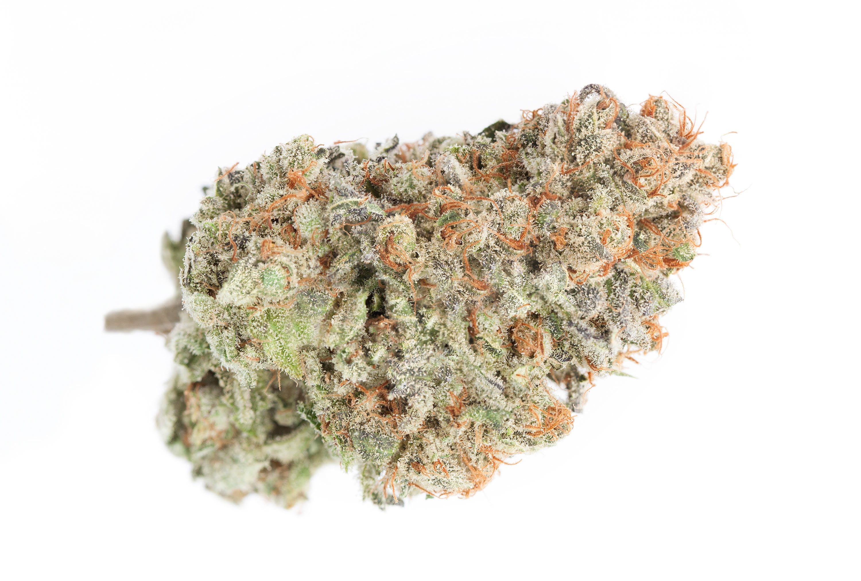 marijuana-dispensaries-664-state-road-vassar-dj-shorts-blueberry