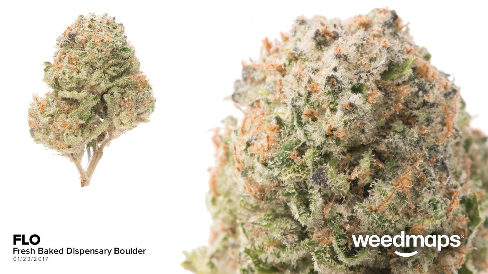 marijuana-dispensaries-fresh-baked-dispensary-boulder-adult-use-in-boulder-dj-shorts-flo