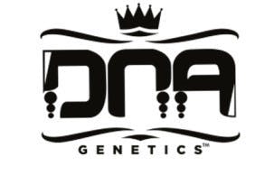 DNA RockLock Seeds