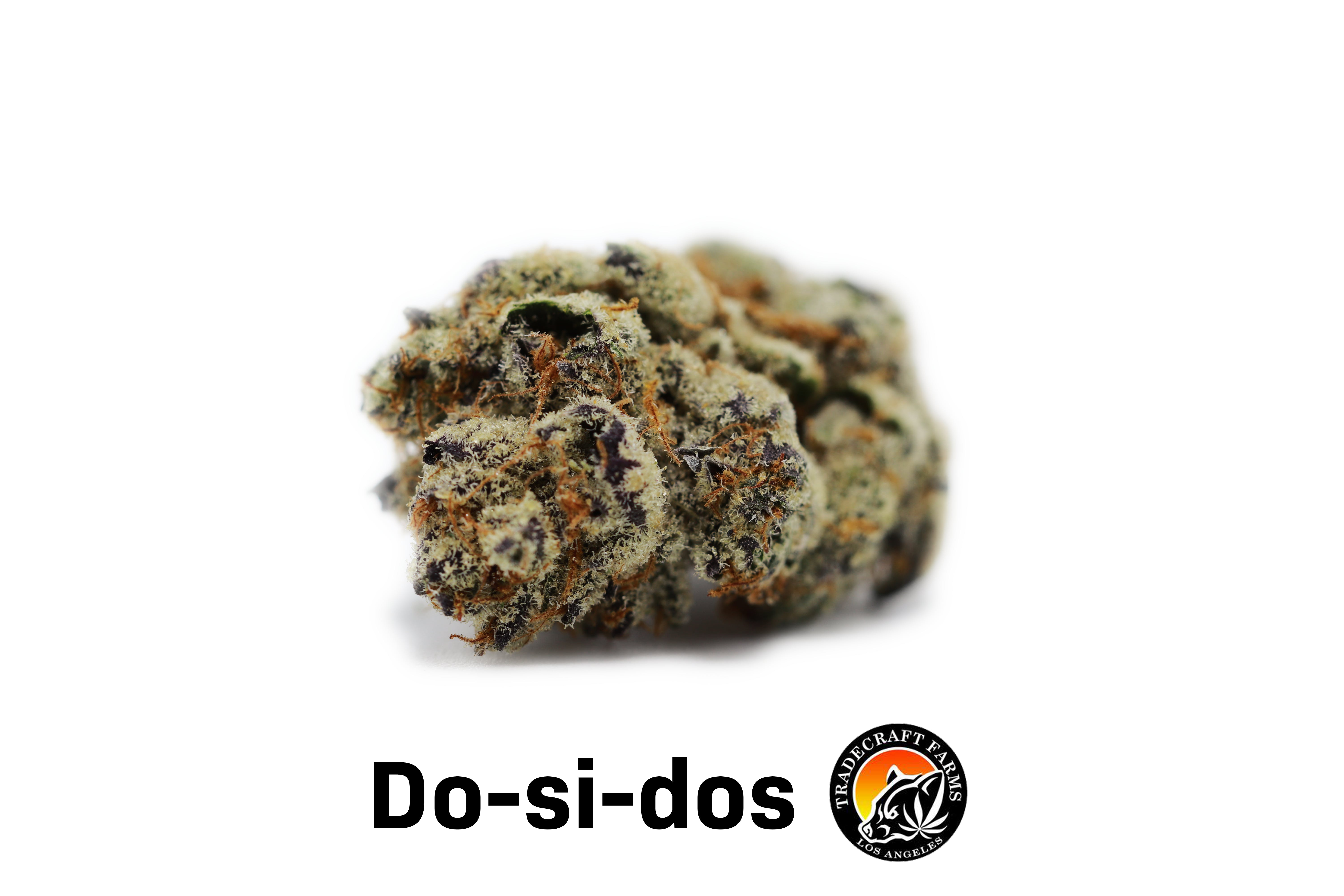 marijuana-dispensaries-1526-s-santa-fe-unit-b-vista-do-si-do-top