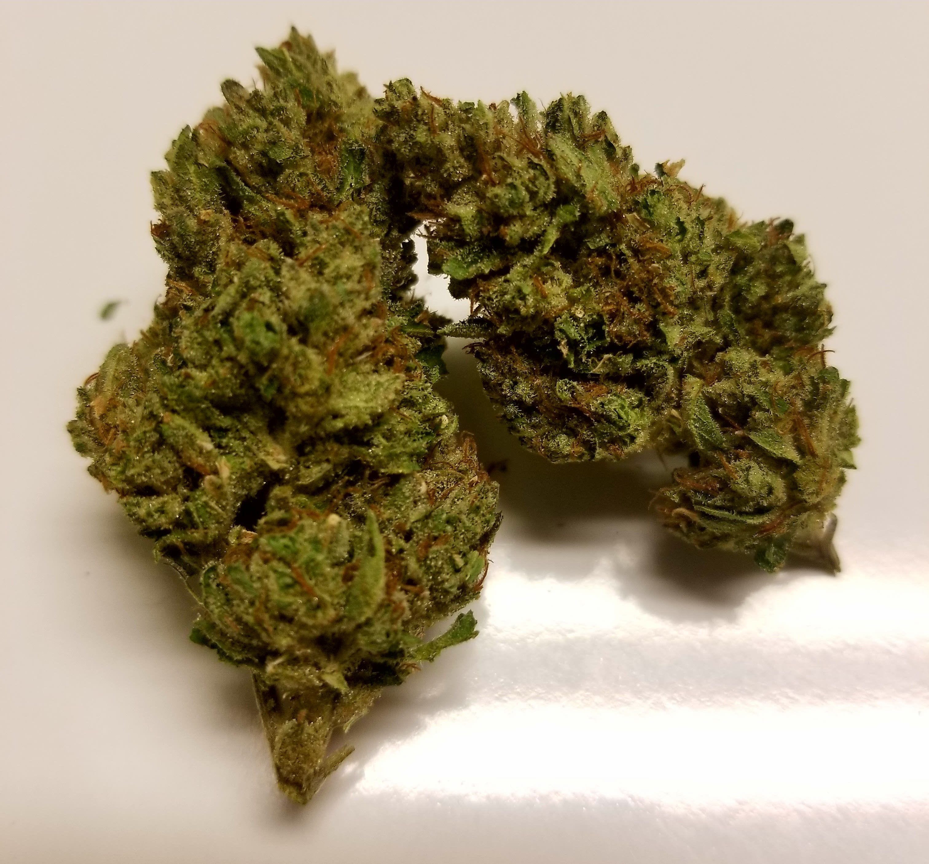 marijuana-dispensaries-2618-e-foothill-blvd-unit-c-san-bernardino-dog-water-og-mids