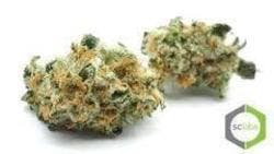 marijuana-dispensaries-1302-north-wilmington-blvd-wilmington-dogo-nug-salad