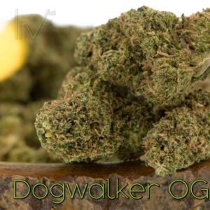 Dogwalker OG Hybrid Sativa