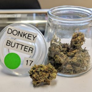 Donkey Butter