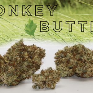 Donkey Butter - from Culta
