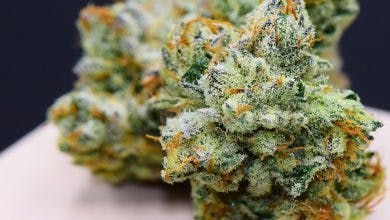 marijuana-dispensaries-4158-west-pico-blvd-los-angeles-dosi-doe-og