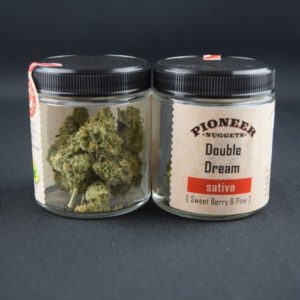 Double Dream - Pioneer Nuggets