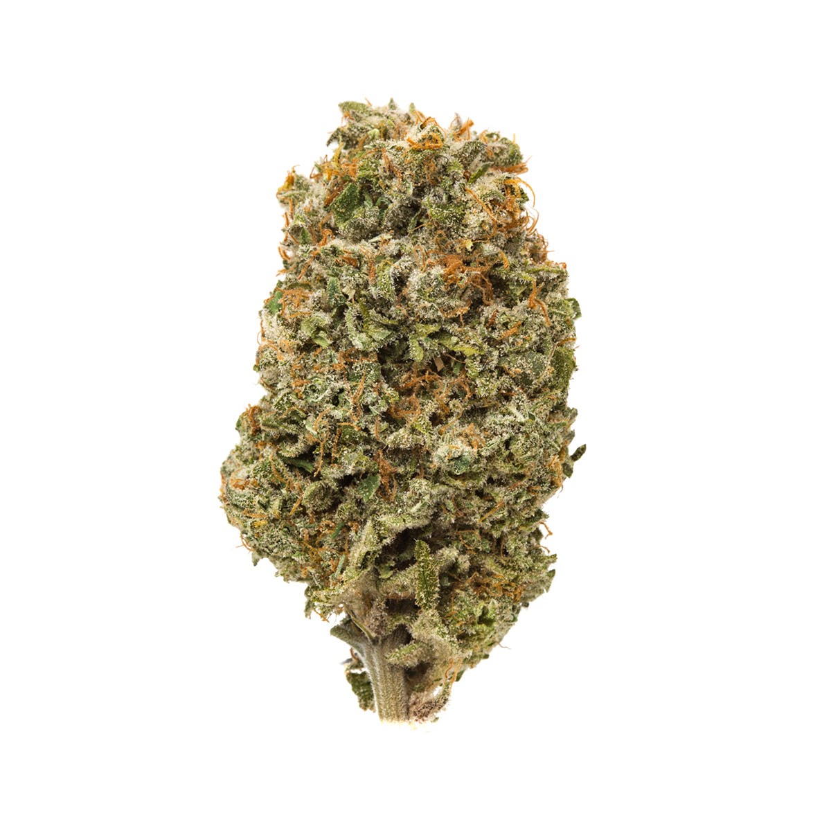 marijuana-dispensaries-9952-sw-beaverton-hillsdale-hwy-beaverton-dr-who-dr-w