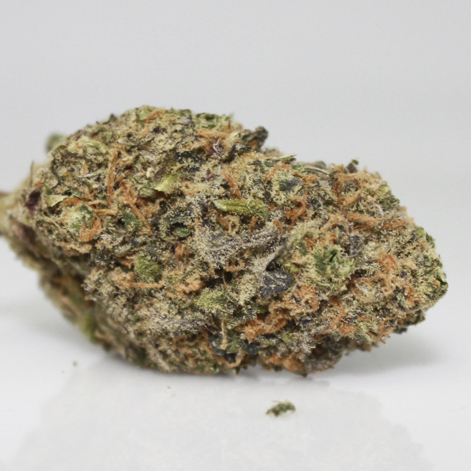 Dr. Who | Rogue River Botanicals | 15.49% THC