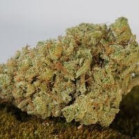 marijuana-dispensaries-mr-niceguy-state-st-in-salem-dragon-og