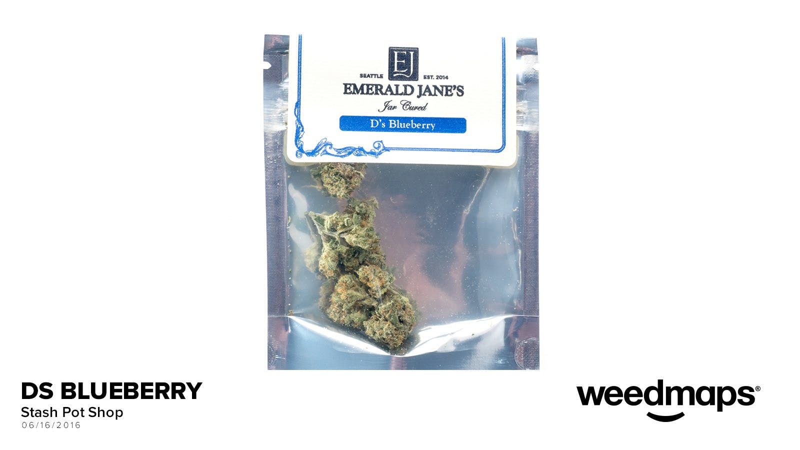 indica-ds-blueberry