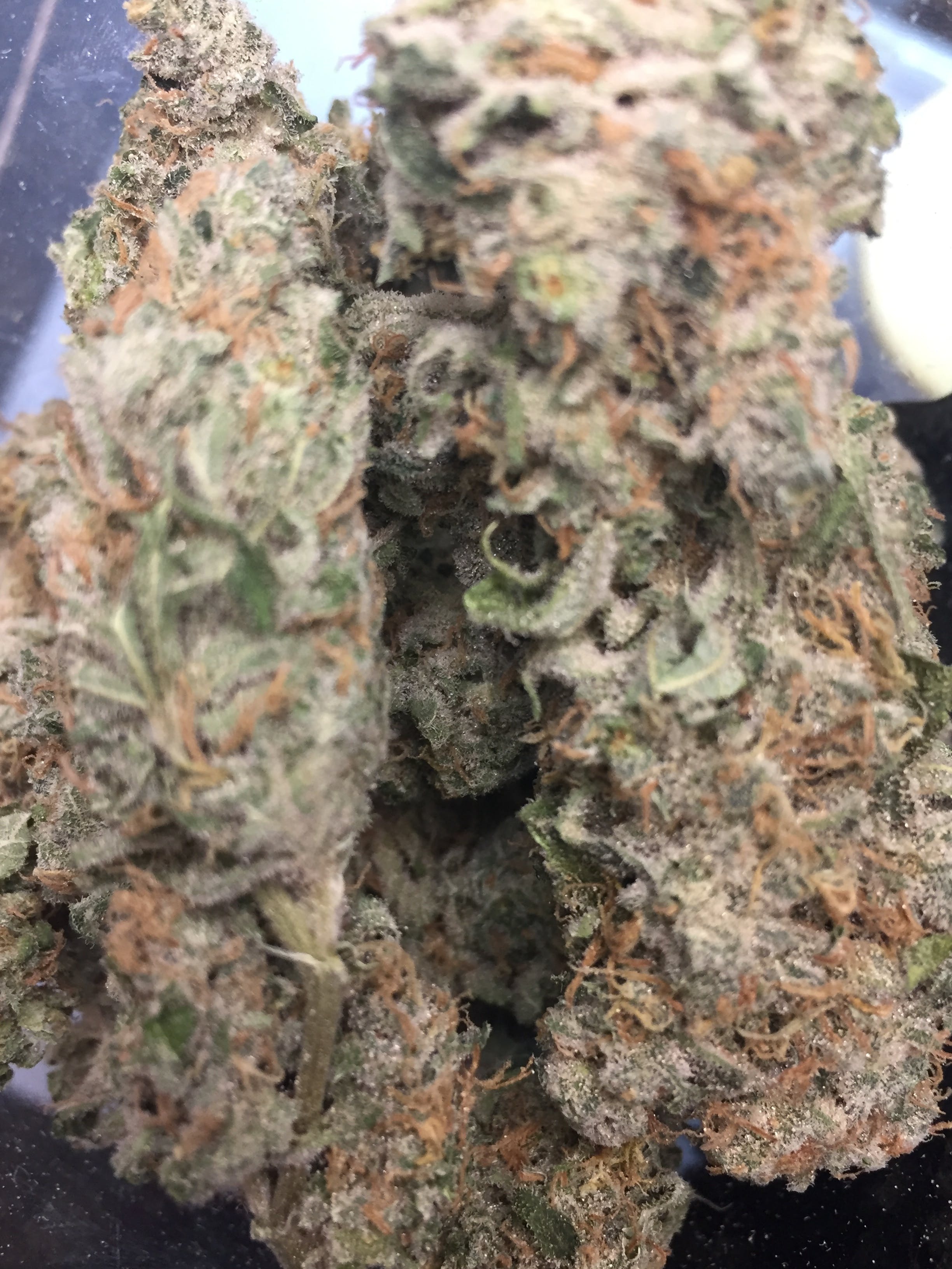 marijuana-dispensaries-6974-n-old-27-frederic-duke-nukeem