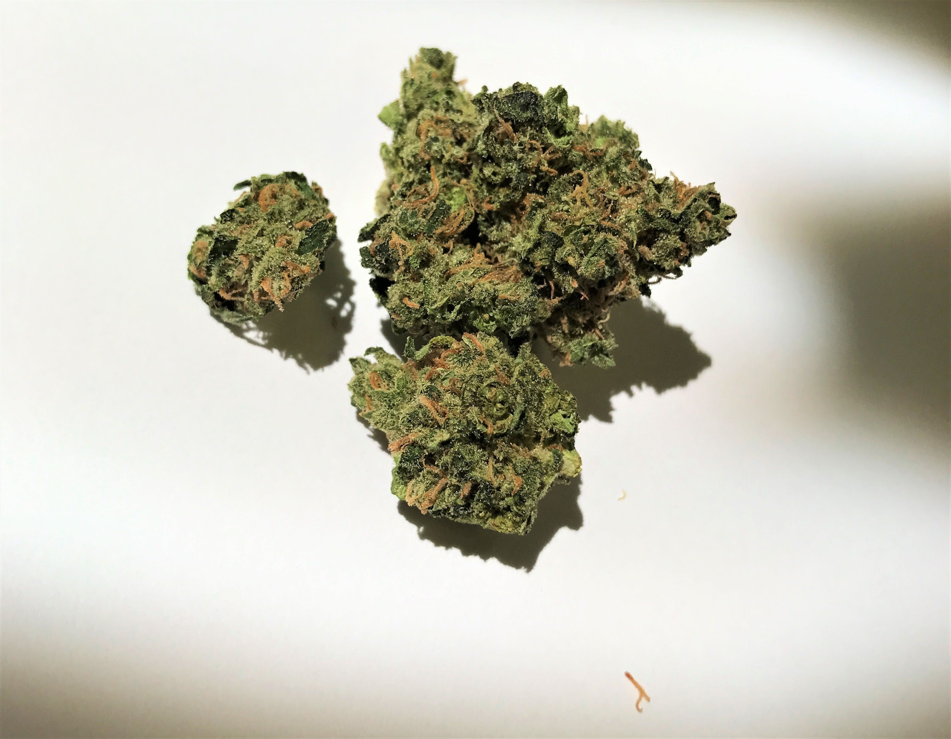 marijuana-dispensaries-7464-arapahoe-unit-a9-boulder-durban-poison-med