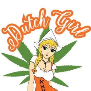 Dutch Girl Seeds by Cannapunch