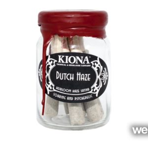 Dutch Haze 8pk-Kiona