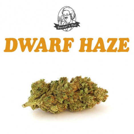 Dwarf Haze