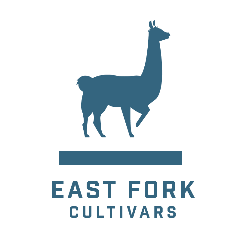 East Fork - The Church 0.5g