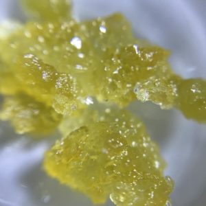 Ecto Cooler Live Resin