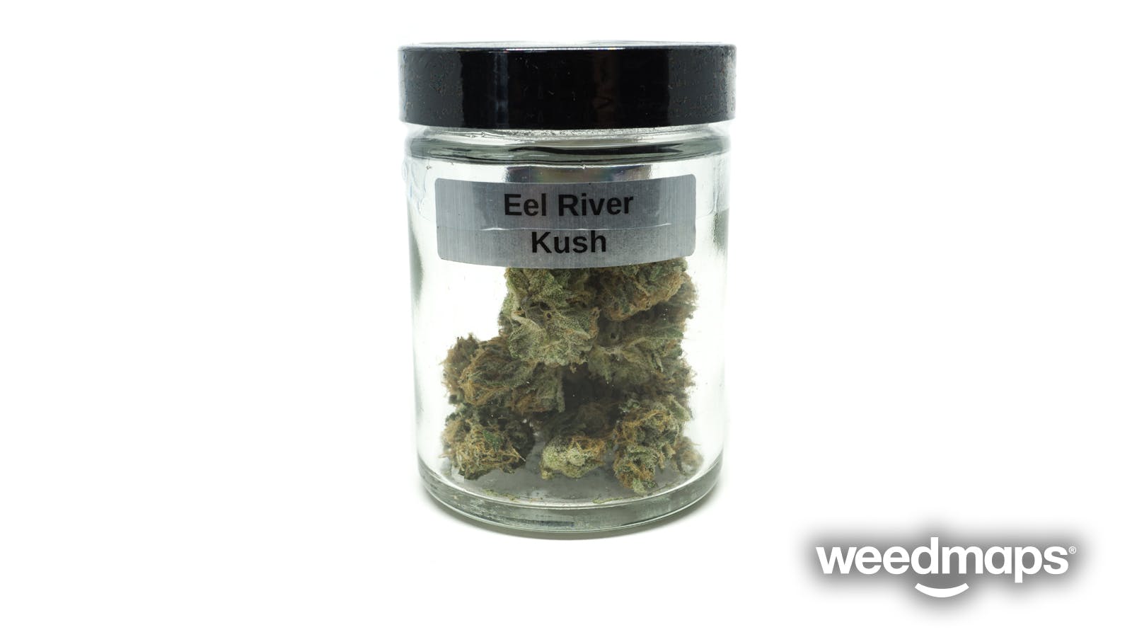 indica-eel-river-kush-by-purple-planet