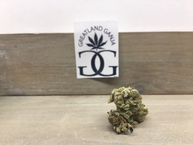 marijuana-dispensaries-great-northern-cannabis-downtown-in-anchorage-el-capitan