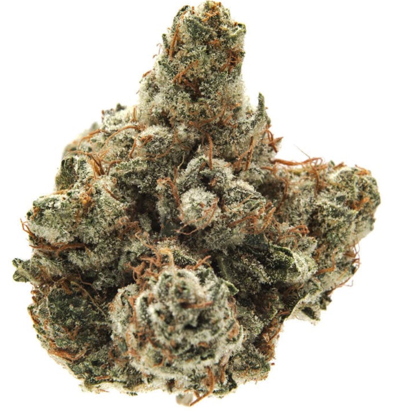 marijuana-dispensaries-7520-foothill-blvd-tujunga-el-chapo-cannabis-cup-winner-5g-40-60