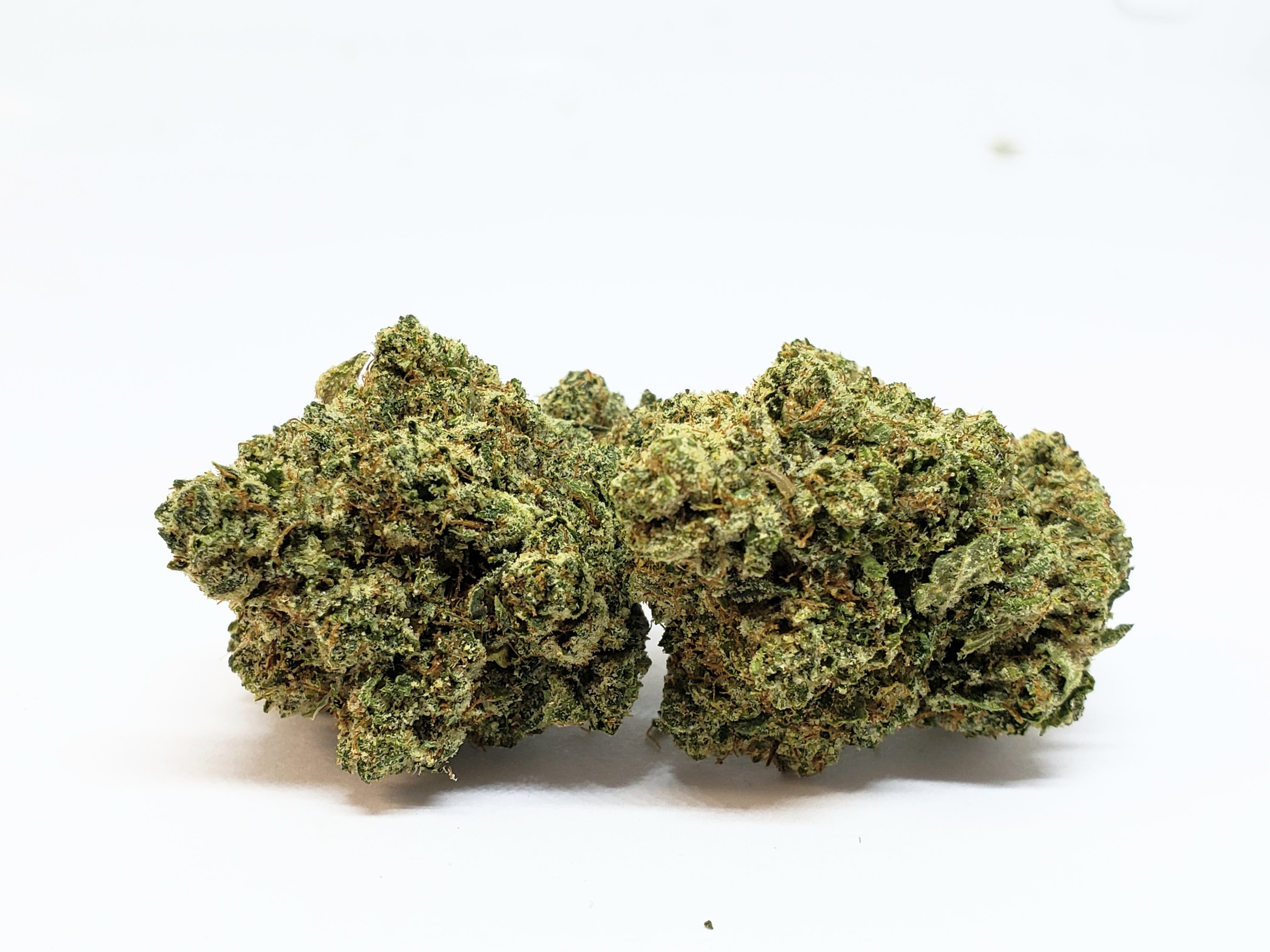 marijuana-dispensaries-326-n-vermont-ave-los-angeles-el-chapo-og-5g-for-2445