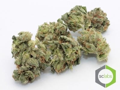 marijuana-dispensaries-puff-bar-25-cap-in-anaheim-el-chapo-og-top-shelf