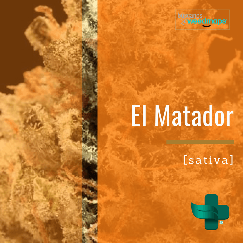 marijuana-dispensaries-cannacity-clinic-in-bayamon-el-matador