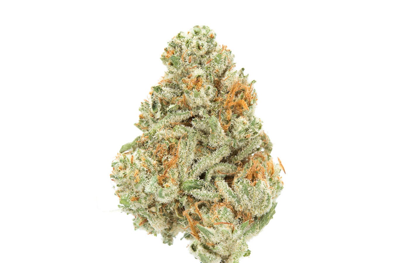 marijuana-dispensaries-3915-wilder-rd-bay-city-elmer-glue