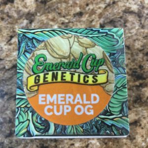 Emerald Cup OG (10-pk) by Emerald Cup
