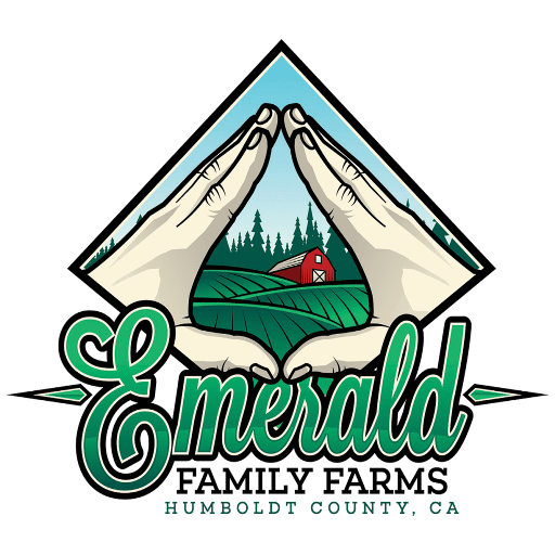 Emerald Family Farms 3.5G Preroll Pack- Boss OG