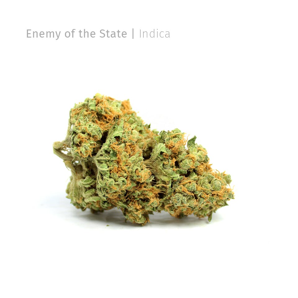 Enemy of the State *House Strain*