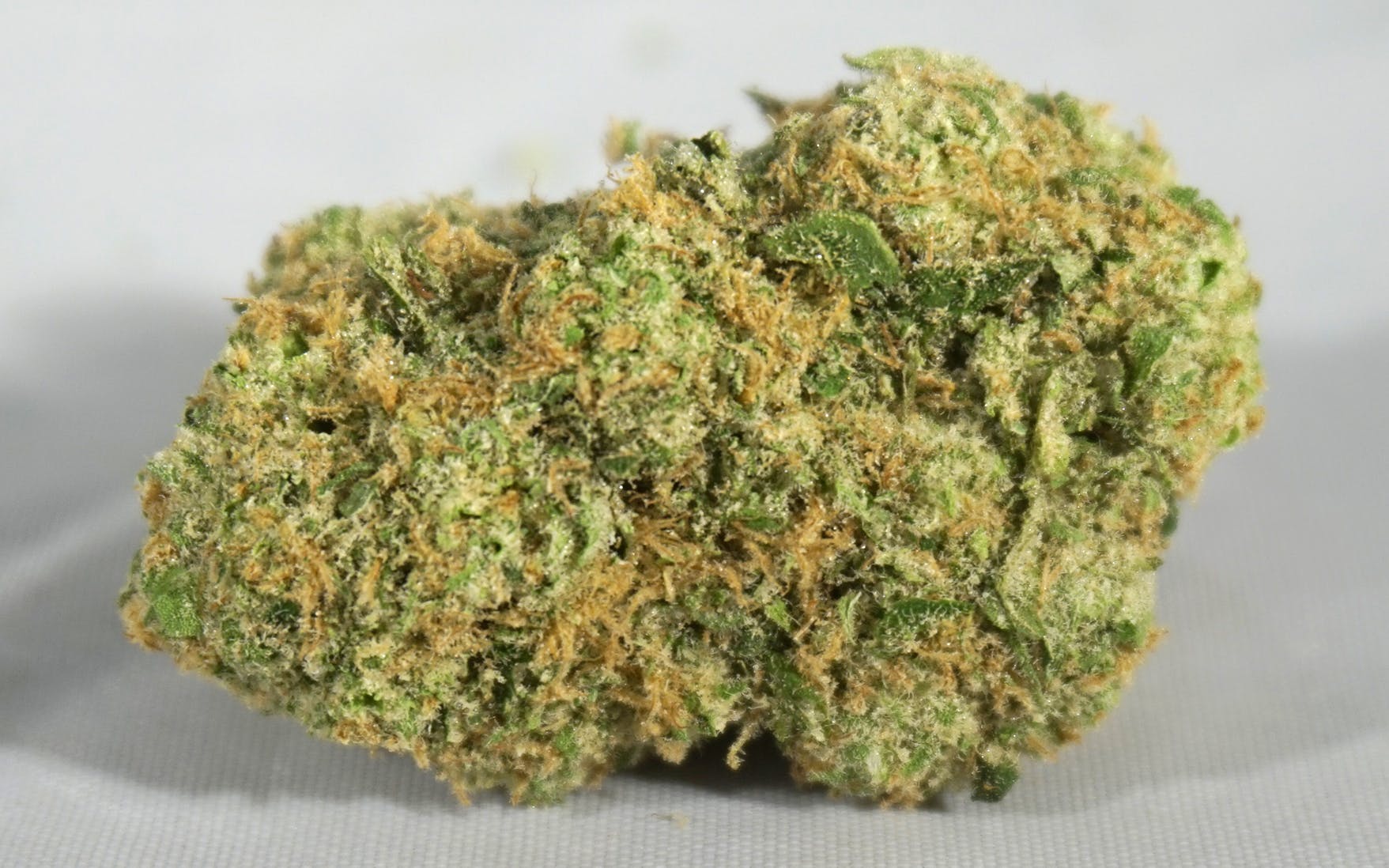 marijuana-dispensaries-5550-joliet-st-denver-ensueno