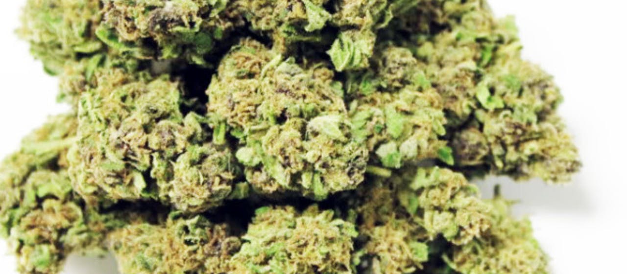 marijuana-dispensaries-dank-depot-in-gardena-escobar-og-private-reserve