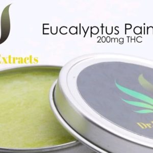 Eucalyptus Pain Salve by Dr Errl Extracts