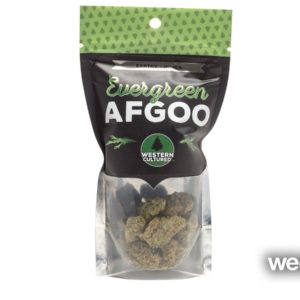 Evergreen Afgoo (Western Cultured)