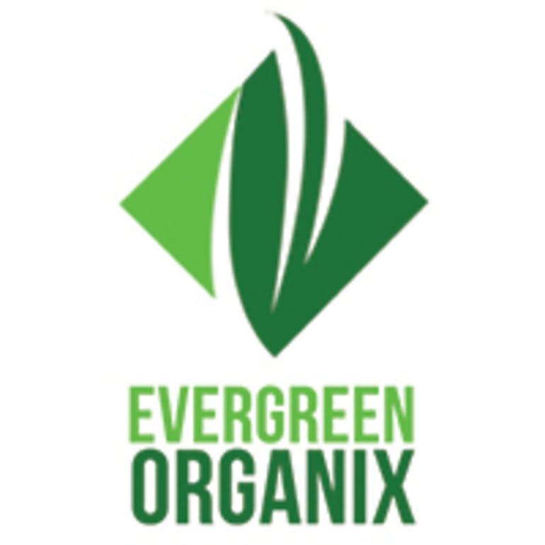 Evergreen - CInnamon Cereal Treat THC:104mg