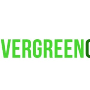 Evergreen Organix - Anti-Aging Sunscreen