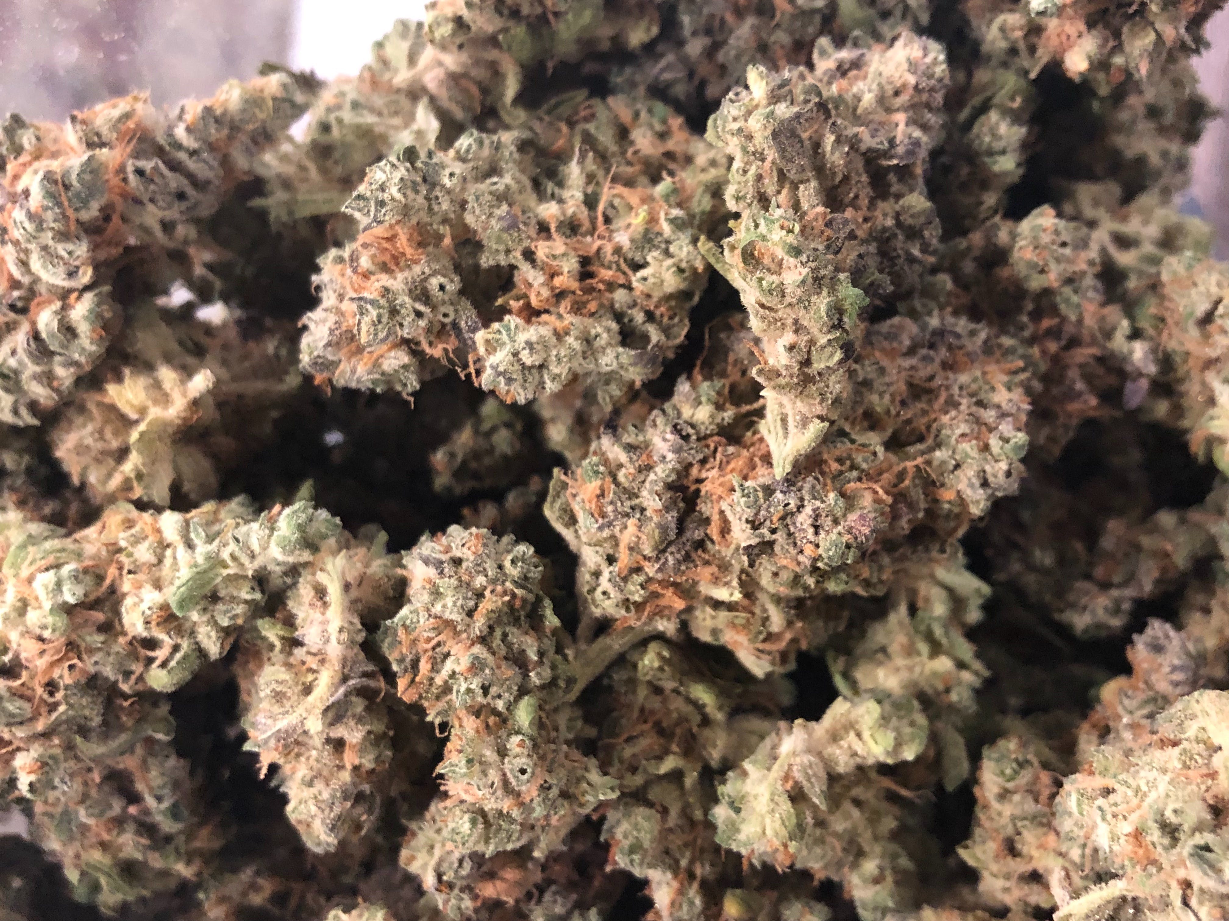 marijuana-dispensaries-106-n-frederick-ave-gaithersburg-evermore-blueberry-cereal-deli-style