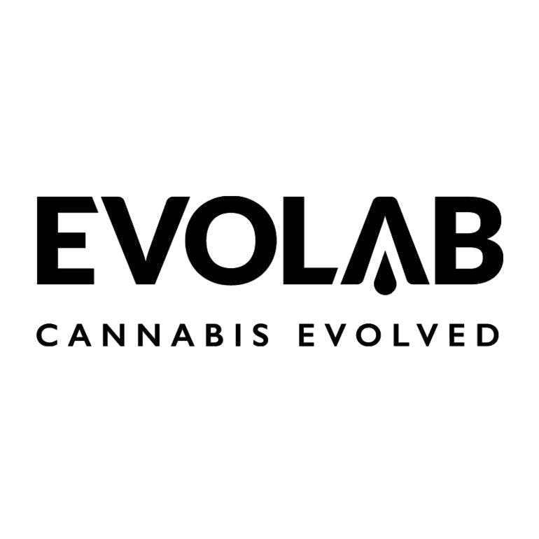 Evolab Disposable 250mg - Blueberry