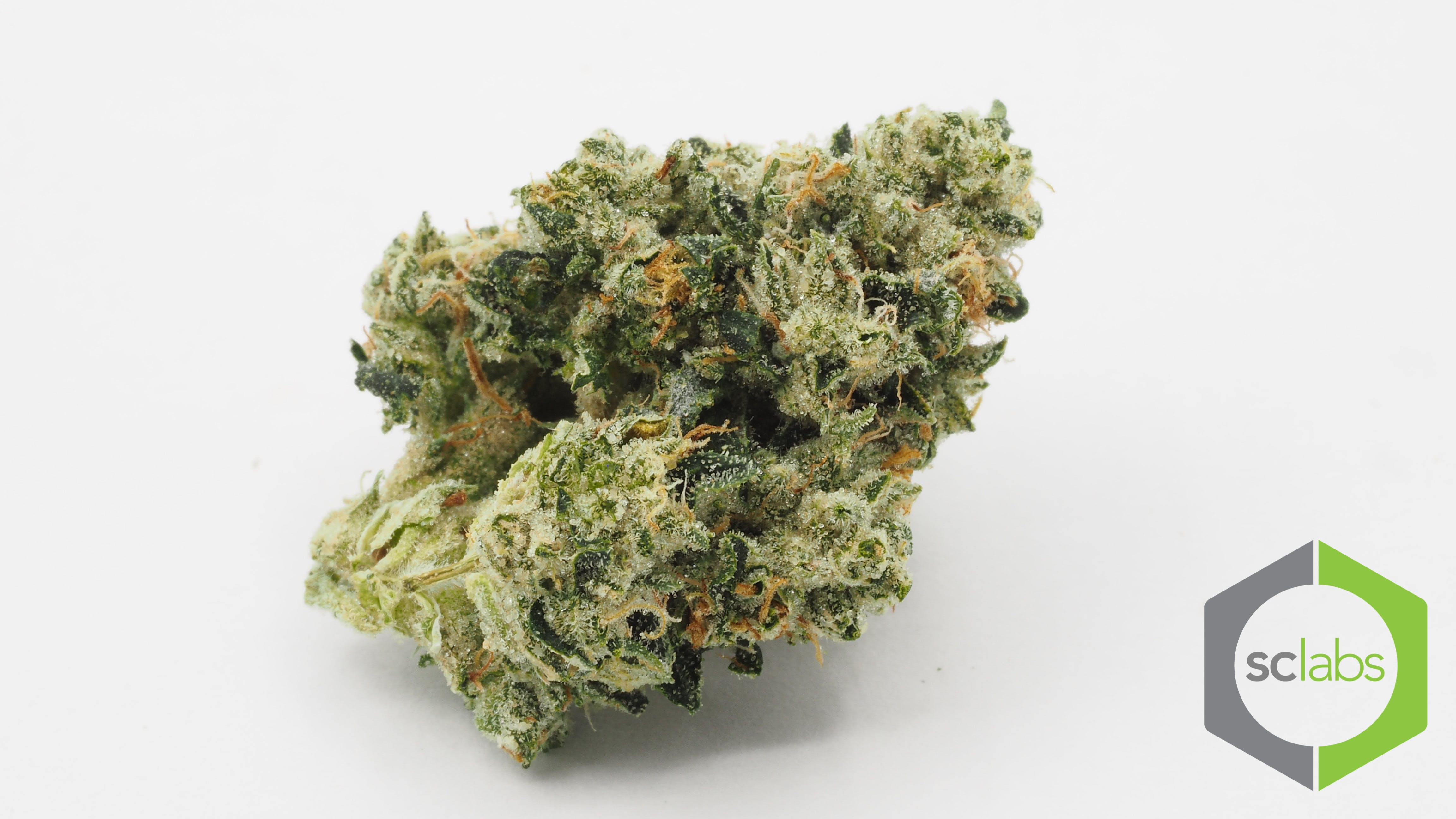 marijuana-dispensaries-440-fair-drive-costa-mesa-ex-koolaid