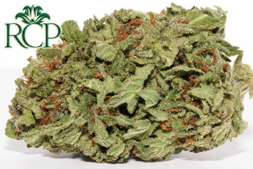 marijuana-dispensaries-rcp-sacramento-in-sacramento-excellent-organics-heirloom-pineapple
