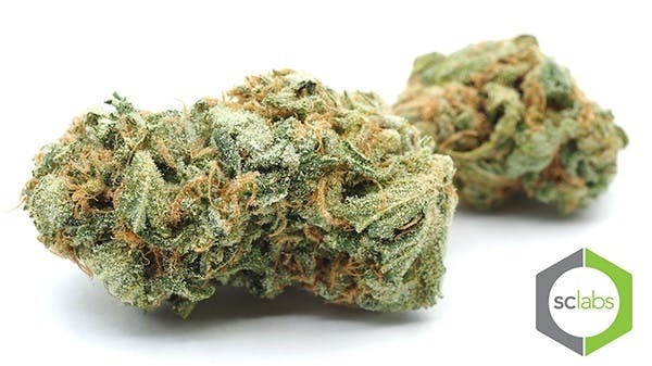 marijuana-dispensaries-825-n-euclid-st-anaheim-exclusive-bluetooth-sd
