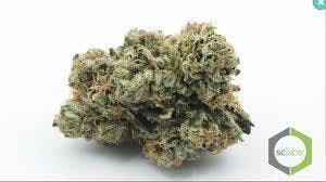 marijuana-dispensaries-2136-newport-blvd-costa-mesa-exclusive-critical-mass-og-5g-x-55