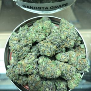 *EXCLUSIVE* Gangsta Grape (7G for $50)