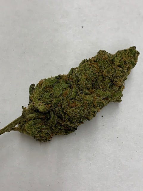 marijuana-dispensaries-yolo-collective-in-los-angeles-exclusive-jack-herer
