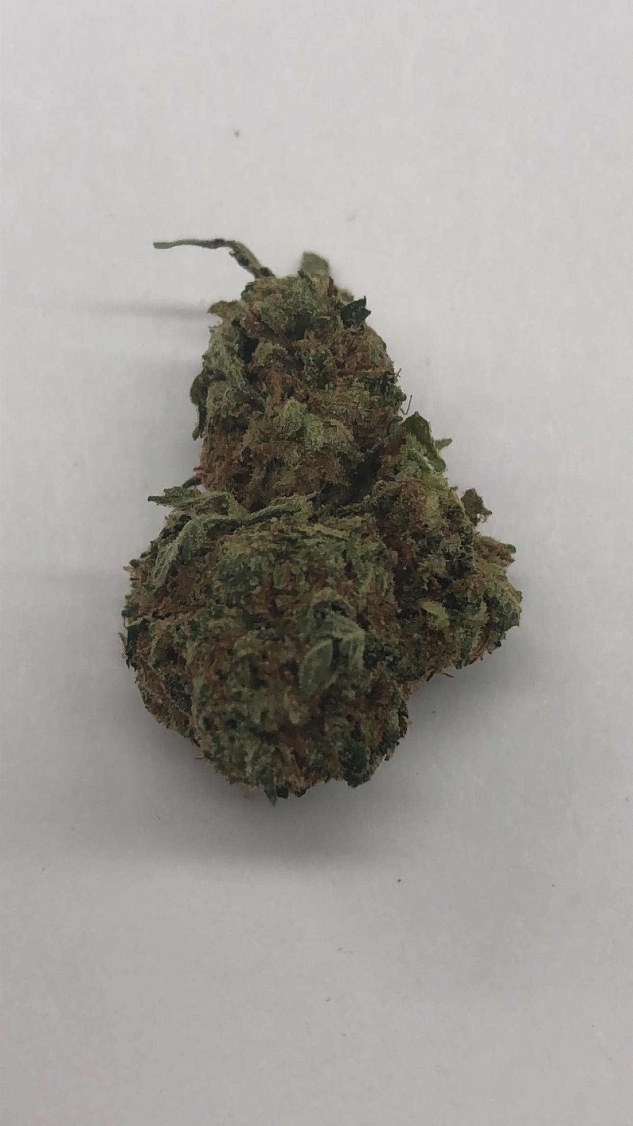marijuana-dispensaries-1141-santee-suite-d-los-angeles-exclusive-jedi-og